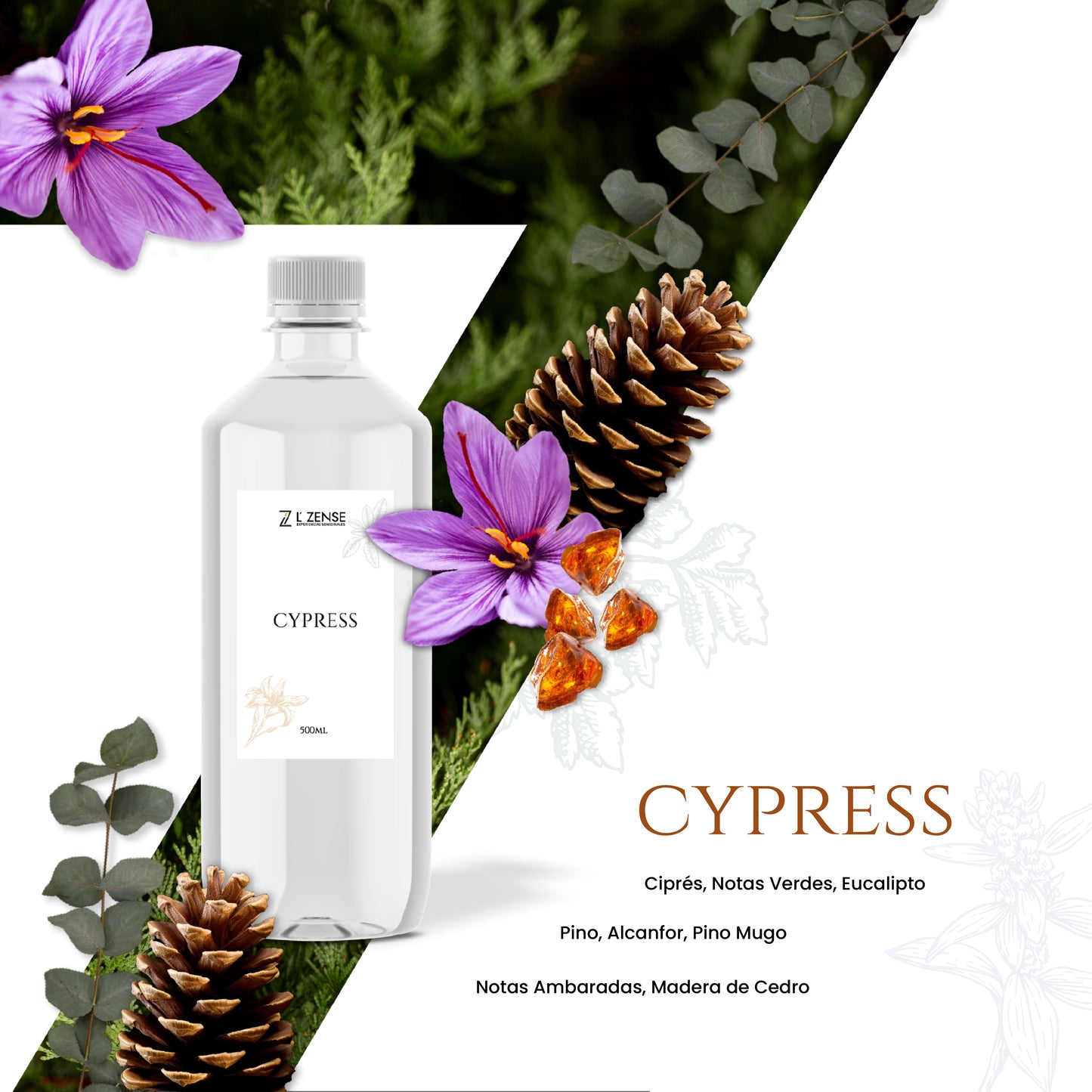 Cypress