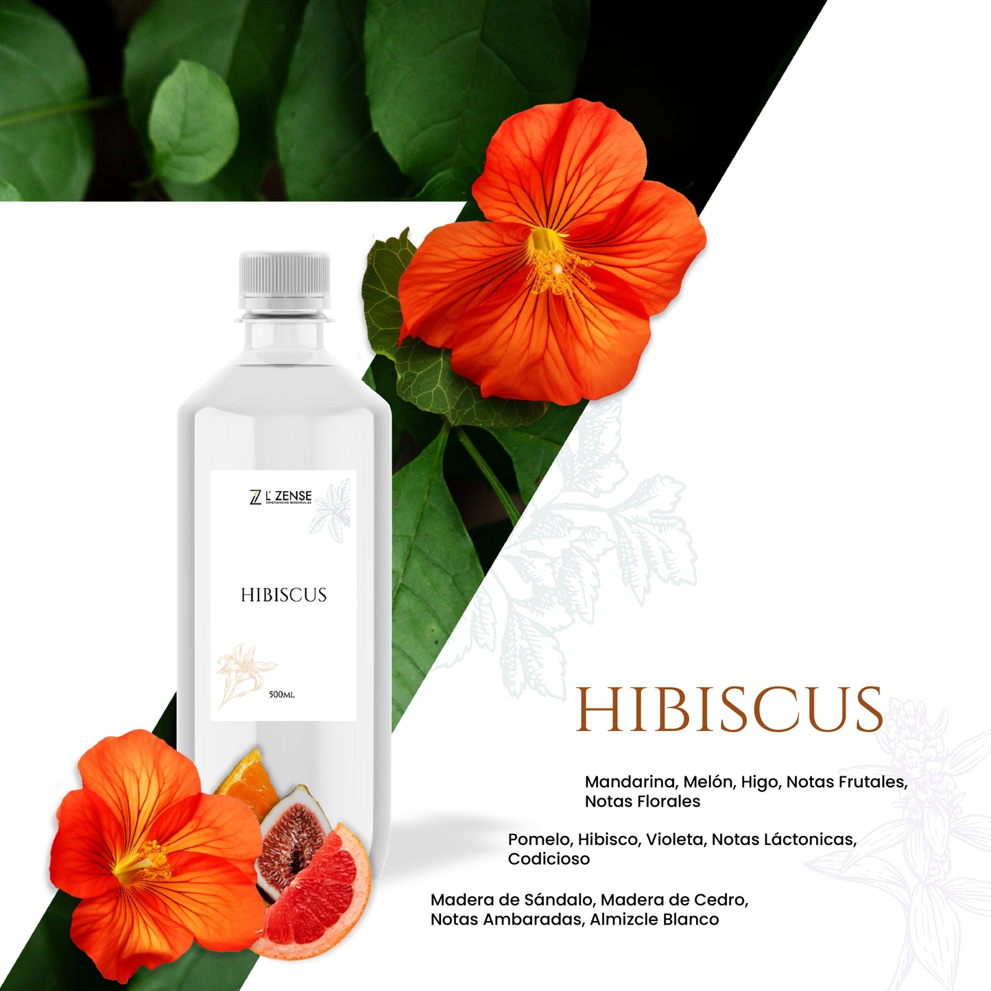 Hibiscus