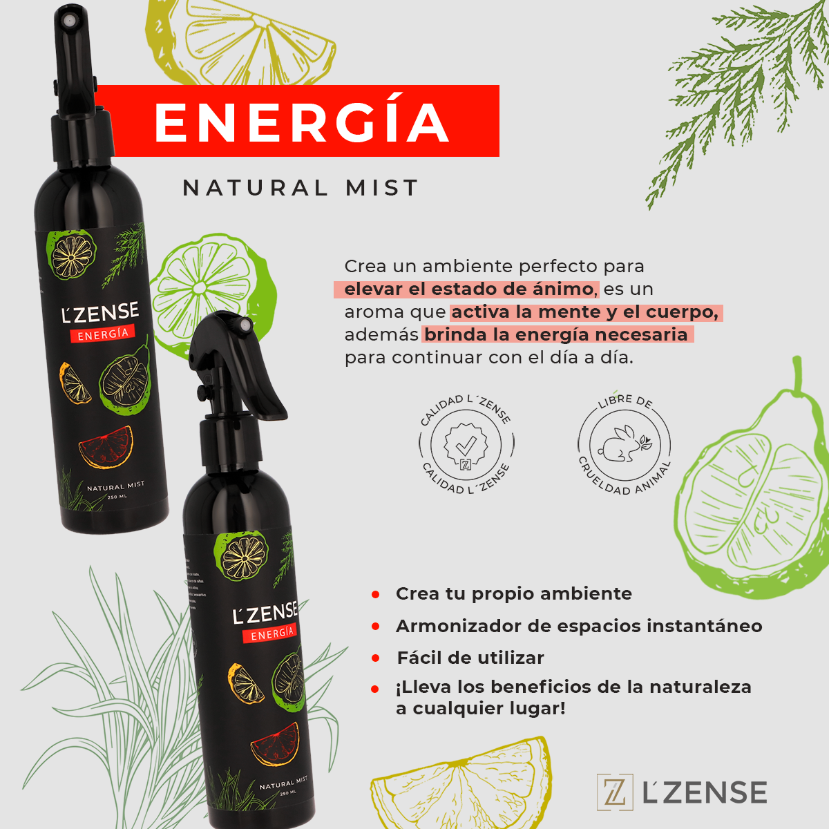 NATURAL MIST - ENERGIA