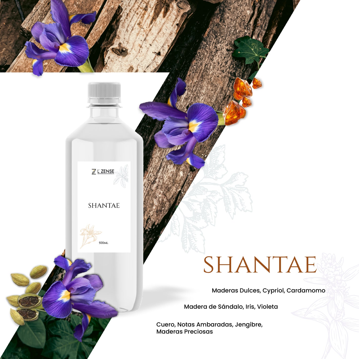 Shante