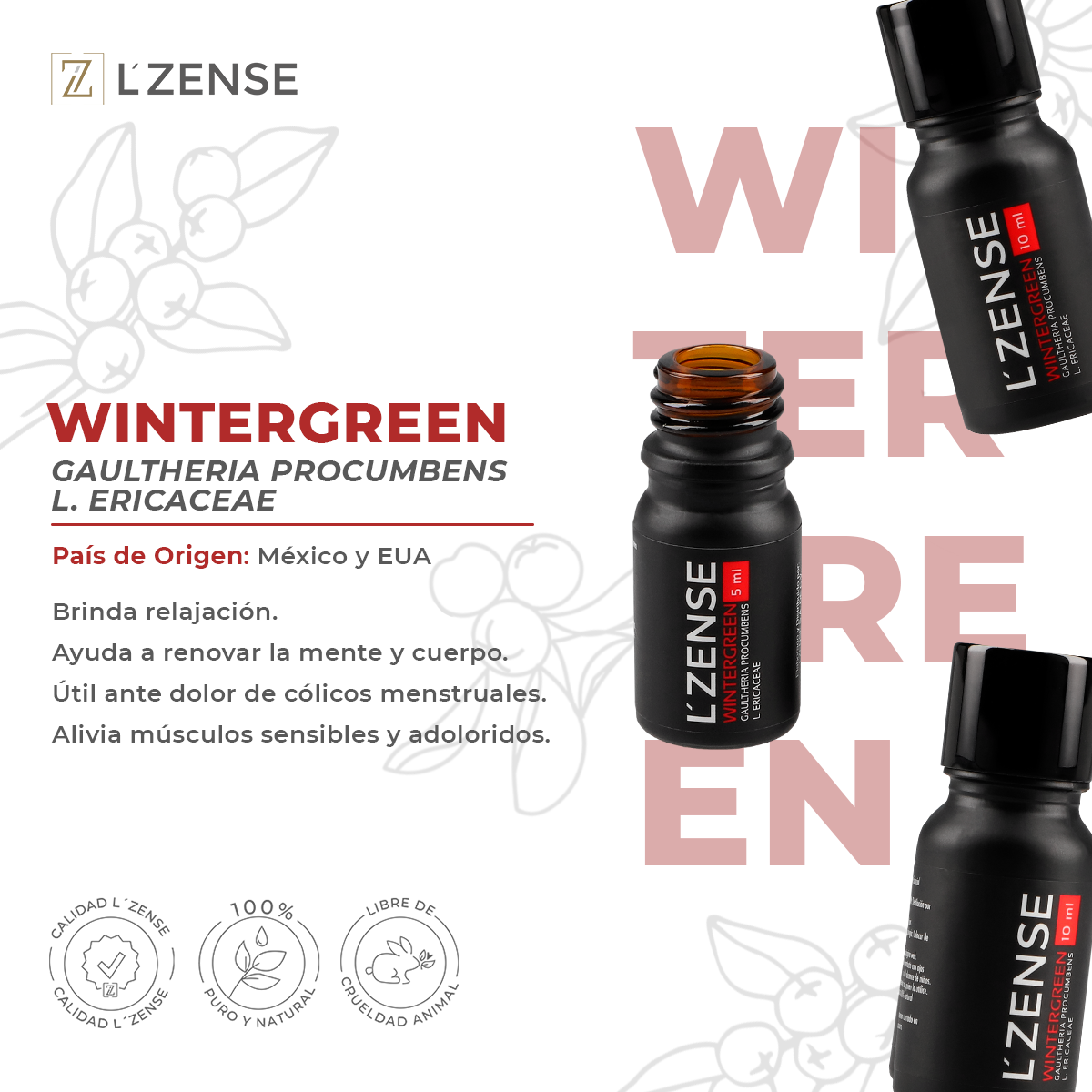 WHINTERGREEN - ACEITE ESENCIAL