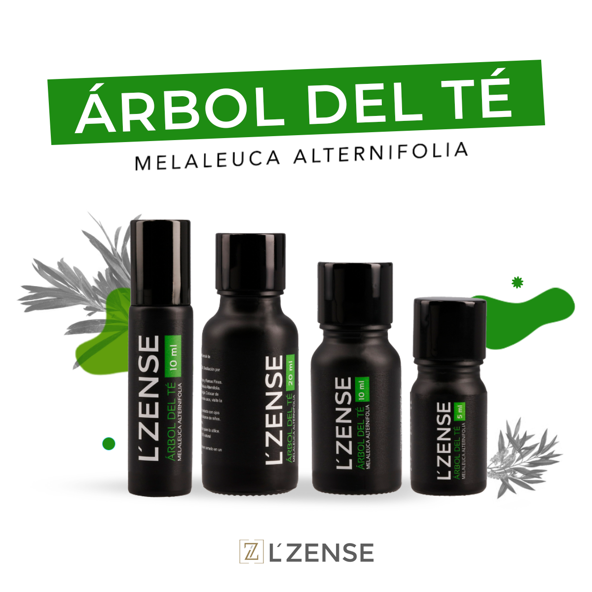 Árbol del Té - Aceite Esencial