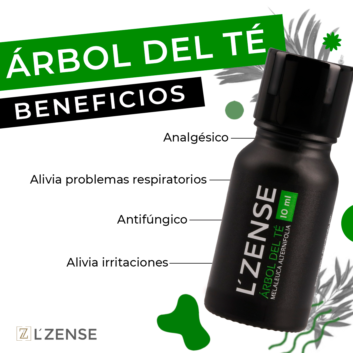 Árbol del Té - Aceite Esencial