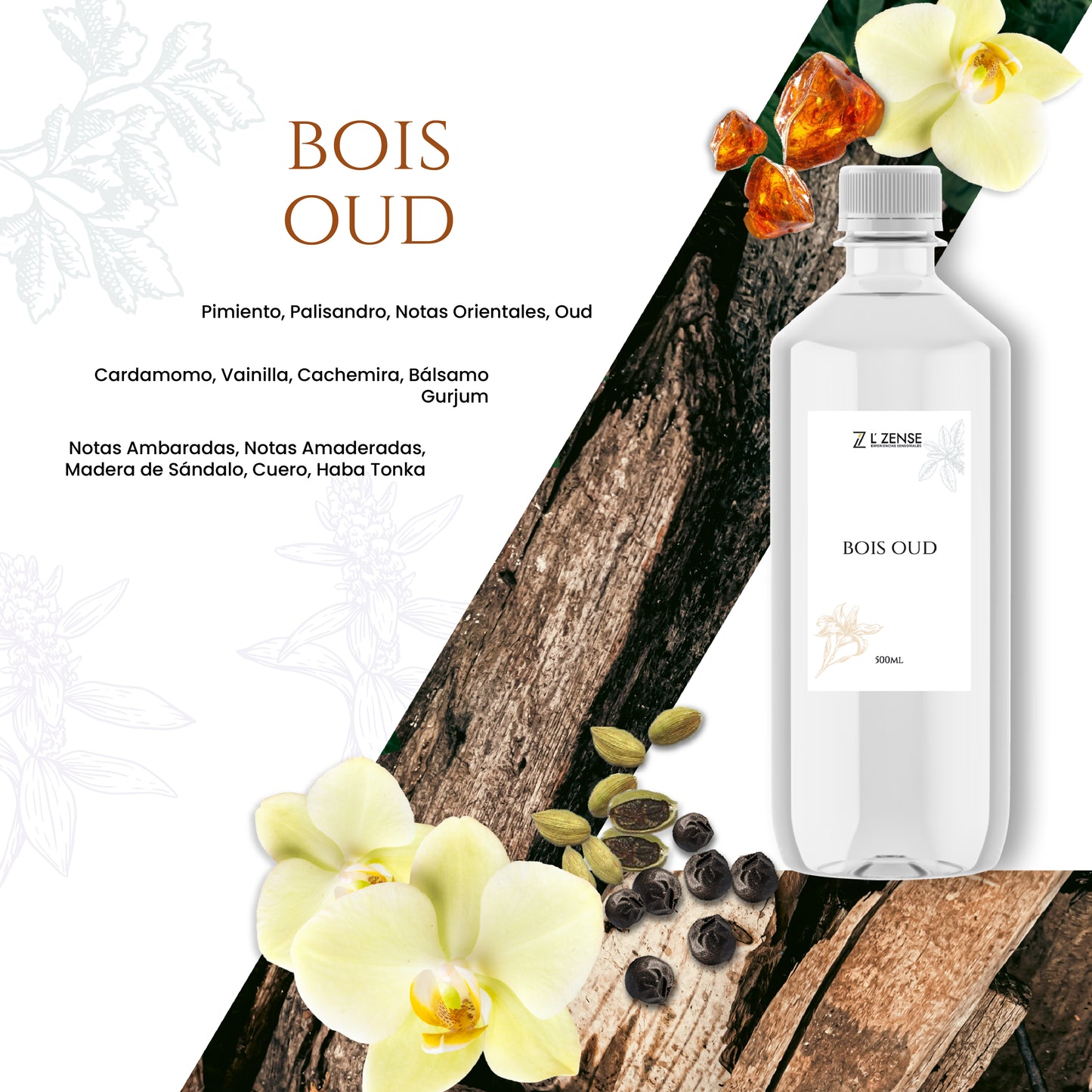 Boise Oud