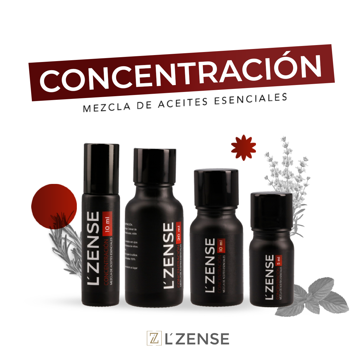 Concentración - Blend