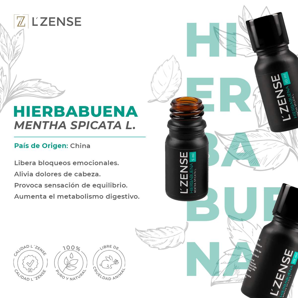 HIERBABUENA - ACEITE ESENCIAL