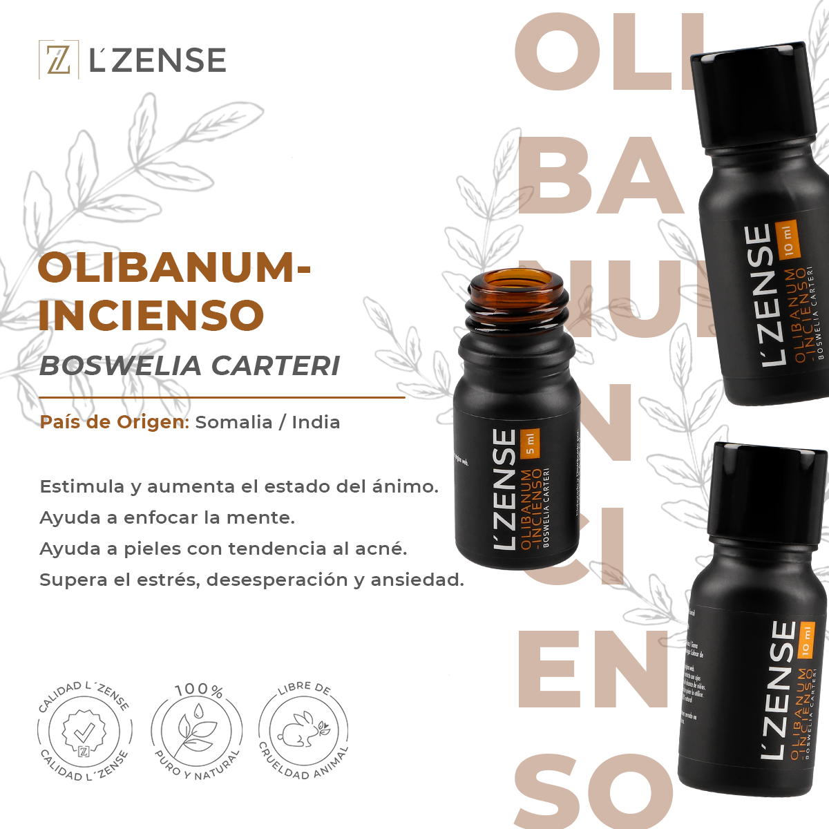 INCIENSO/OLIBANUM - ACEITE ESENCIAL