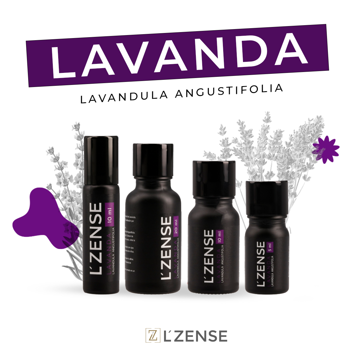 Lavanda - Aceite Esencial