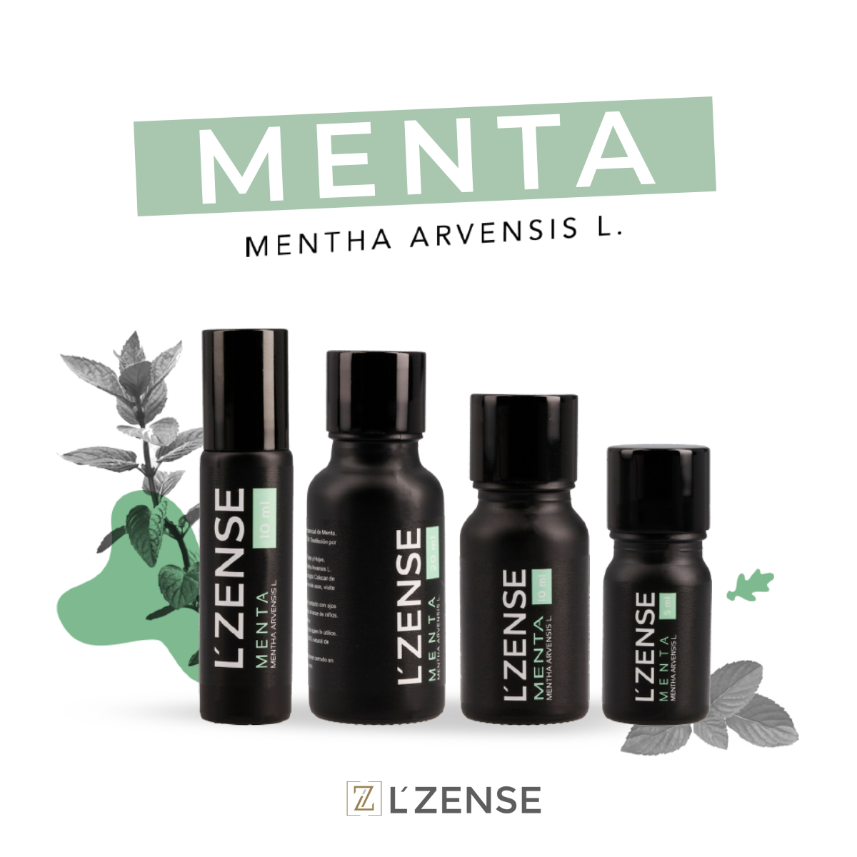 Menta - Aceite Esencial