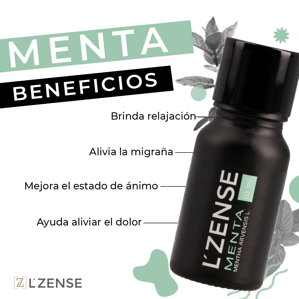 Menta - Aceite Esencial