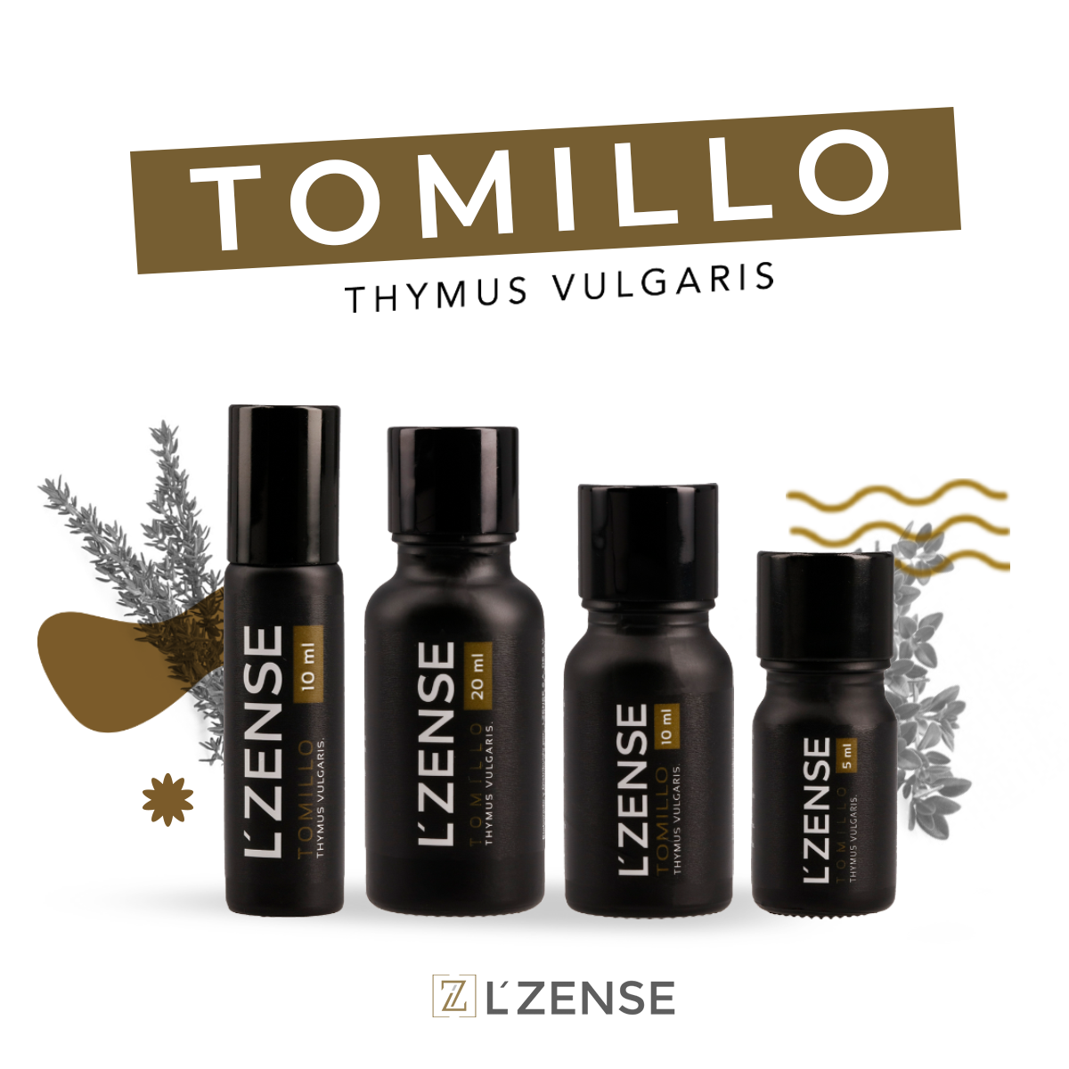 Tomillo - Aceite Esencial