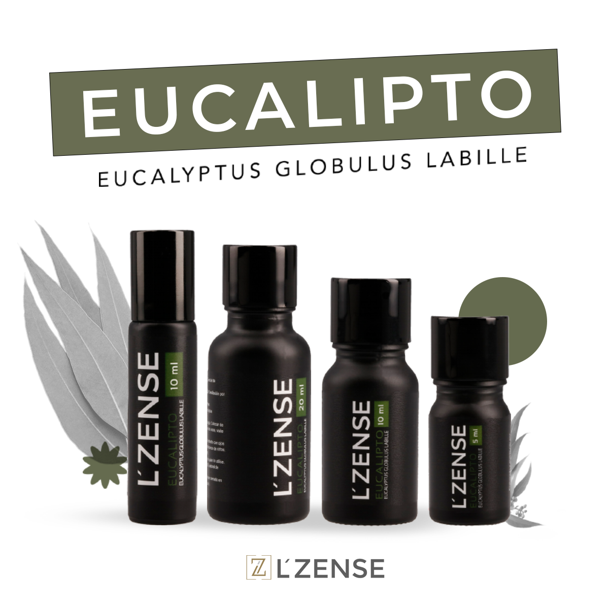 Eucalipto - Aceite Esencial